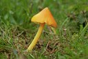 BUITEN BEELD Foto: 141463