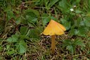 BUITEN BEELD Foto: 141466