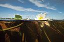 BUITEN BEELD Foto: 141493