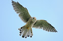 BUITEN BEELD Foto: 141505