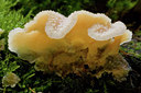 BUITEN BEELD Foto: 141562