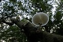 BUITEN BEELD Foto: 141584