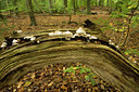 BUITEN BEELD Foto: 141612