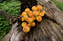 BUITEN BEELD Foto: 141687