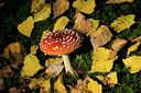 BUITEN BEELD Foto: 141707