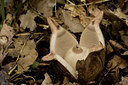 BUITEN BEELD Foto: 141717