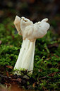 BUITEN BEELD Foto: 141774