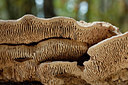 BUITEN BEELD Foto: 141795