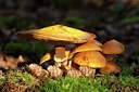 BUITEN BEELD Foto: 141866