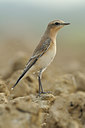 BUITEN BEELD Foto: 142022