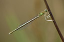 BUITEN BEELD Foto: 142031