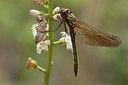 BUITEN BEELD Foto: 142049