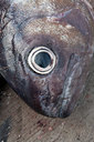 BUITEN BEELD Foto: 142369