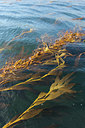 BUITEN BEELD Foto: 142374