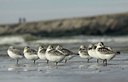 BUITEN BEELD Foto: 142491