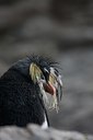 BUITEN BEELD Foto: 142529
