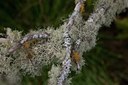 BUITEN BEELD Foto: 142610