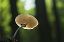 BUITEN BEELD Foto: 142693