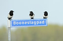 BUITEN BEELD Foto: 142719