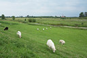 BUITEN BEELD Foto: 142726