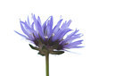 BUITEN BEELD Foto: 142730