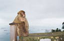 BUITEN BEELD Foto: 142744