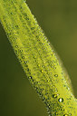 BUITEN BEELD Foto: 142752
