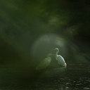 BUITEN BEELD Foto: 142834
