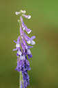BUITEN BEELD Foto: 142846