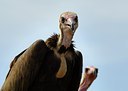 BUITEN BEELD Foto: 142999