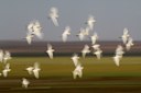 BUITEN BEELD Foto: 143007