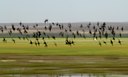 BUITEN BEELD Foto: 143010