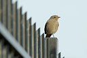 BUITEN BEELD Foto: 143011