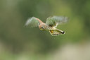 BUITEN BEELD Foto: 143090