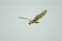 BUITEN BEELD Foto: 143092