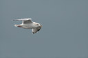 BUITEN BEELD Foto: 143104