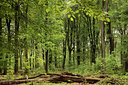 BUITEN BEELD Foto: 143157