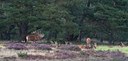 BUITEN BEELD Foto: 143190