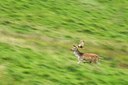BUITEN BEELD Foto: 143246