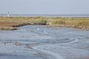 BUITEN BEELD Foto: 143293