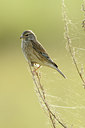 BUITEN BEELD Foto: 143310