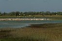 BUITEN BEELD Foto: 143364