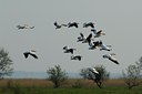 BUITEN BEELD Foto: 143368