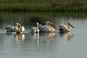 BUITEN BEELD Foto: 143374