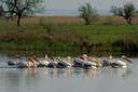 BUITEN BEELD Foto: 143375