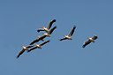 BUITEN BEELD Foto: 143383