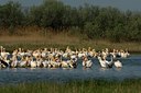 BUITEN BEELD Foto: 143395