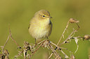 BUITEN BEELD Foto: 143409