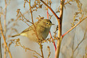 BUITEN BEELD Foto: 143411