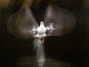 BUITEN BEELD Foto: 143420